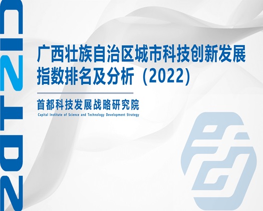 恩恩啊鸡巴操死你的骚逼视频【成果发布】广西壮族自治区城市科技创新发展指数排名及分析（2022）